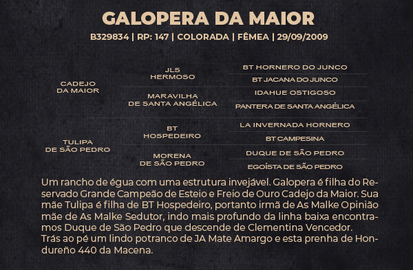 Geração GALOPERA DA MAIOR