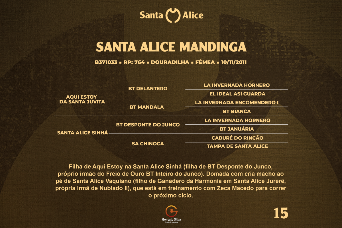 Geração SANTA ALICE MANDINGA 
