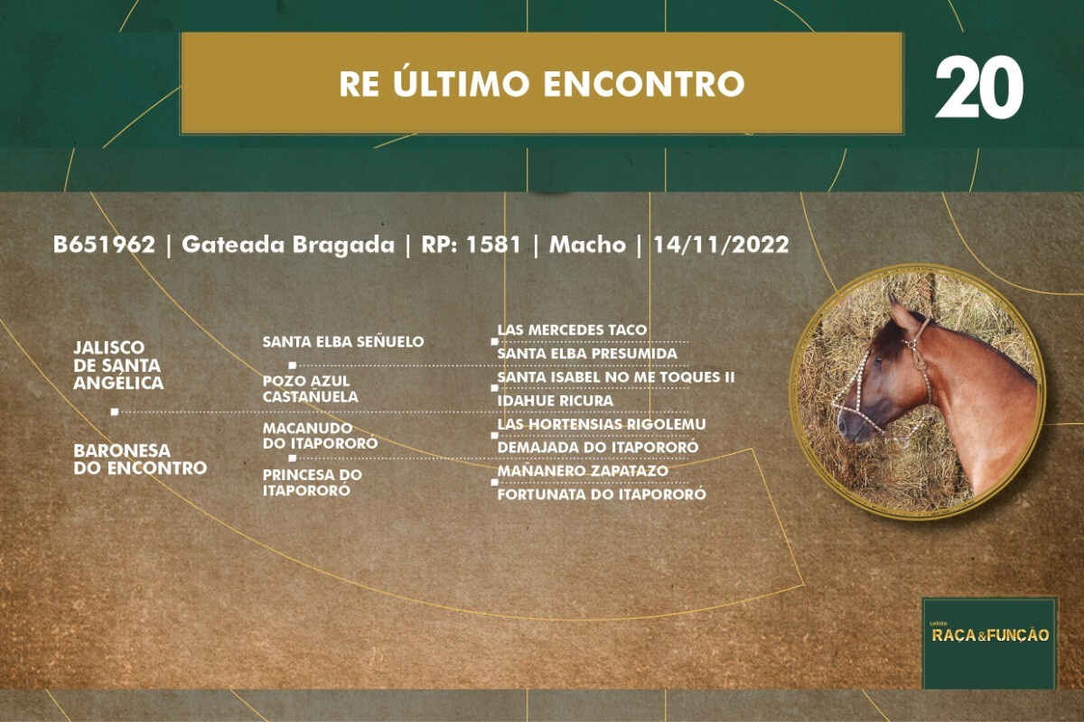 Geração RE ÚLTIMO ENCONTRO