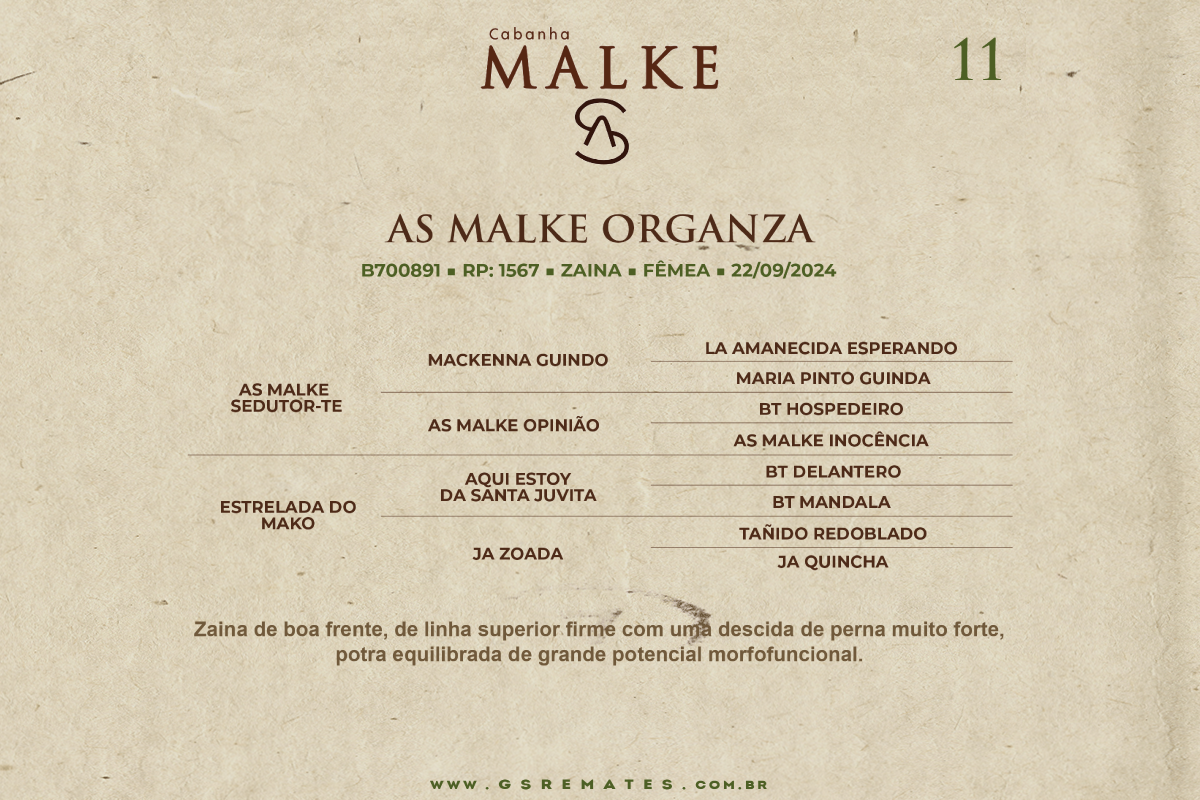 Geração AS MALKE ORGANZA