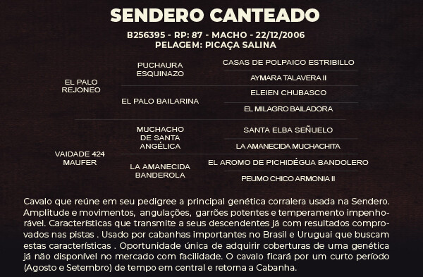 Geração SENDERO CANTEADO