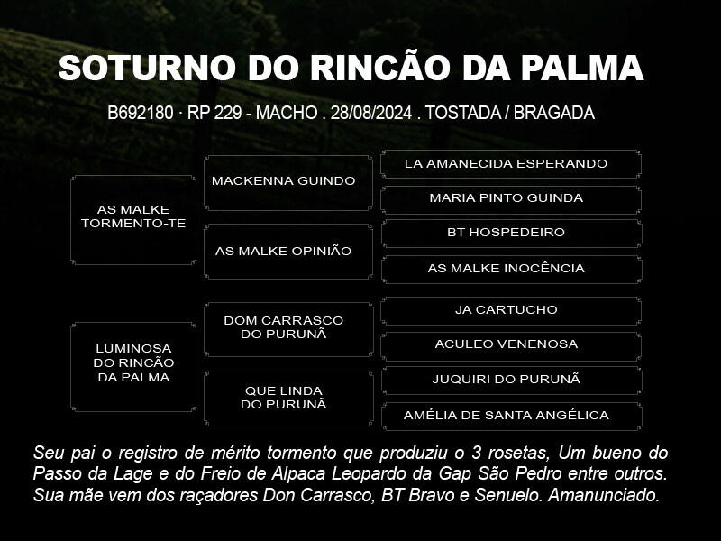 Geração SOTURNO DO RINÇÃO DA PALMA 
