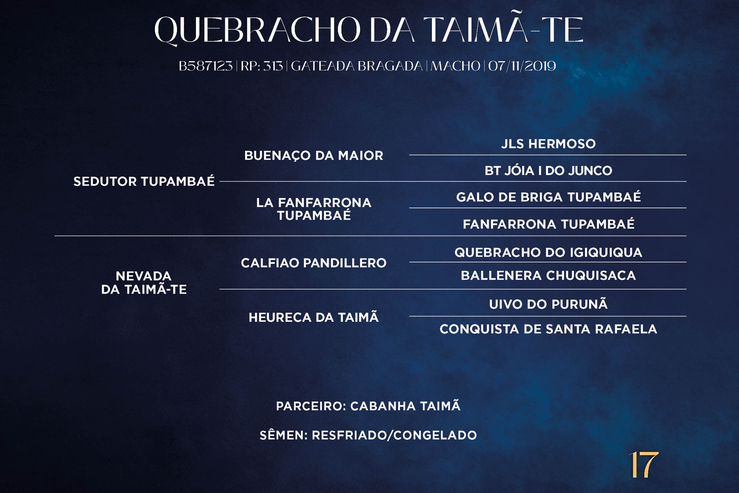 Geração QUEBRA DA TAIMÃ-TE