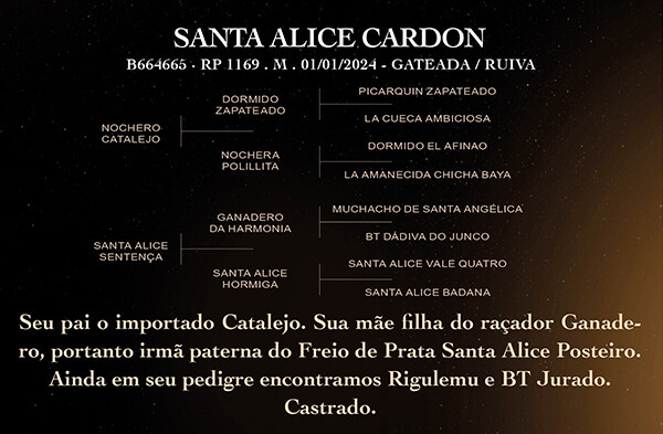 Geração SANTA ALICE CARDON
