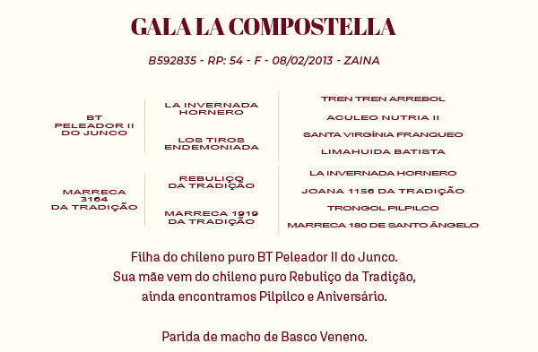 Geração GALA LA COMPOSTELLA