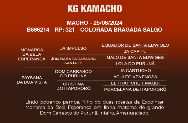 Geração KG KAMACHO