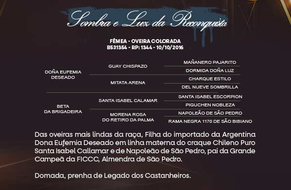 Geração SOMBRA E LUZ DA RECONQUISTA 