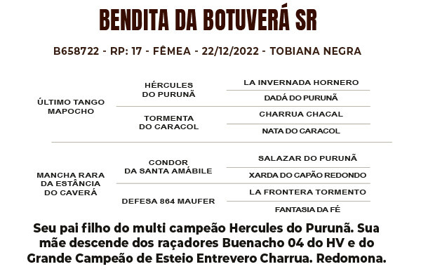 Geração BENDITA DA BOTUVERÁ SR
