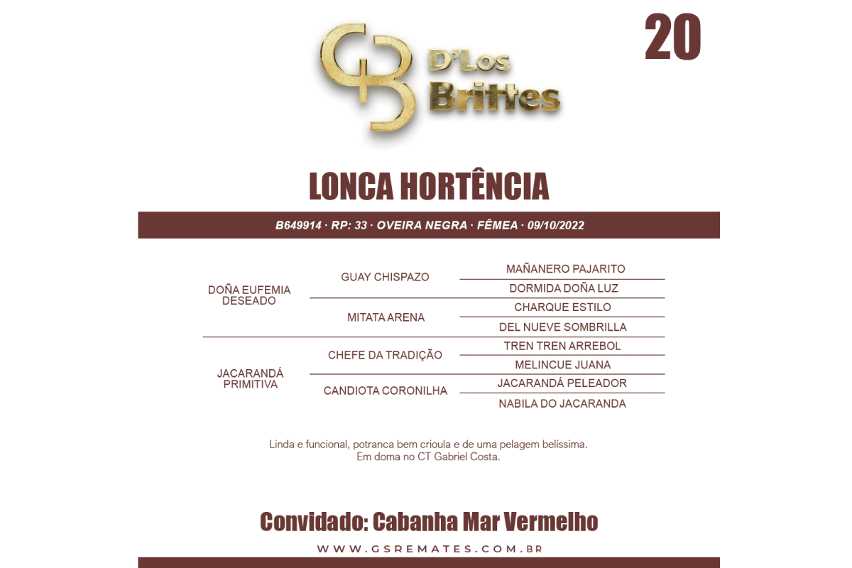 Geração LONCA HORTÊNCIA