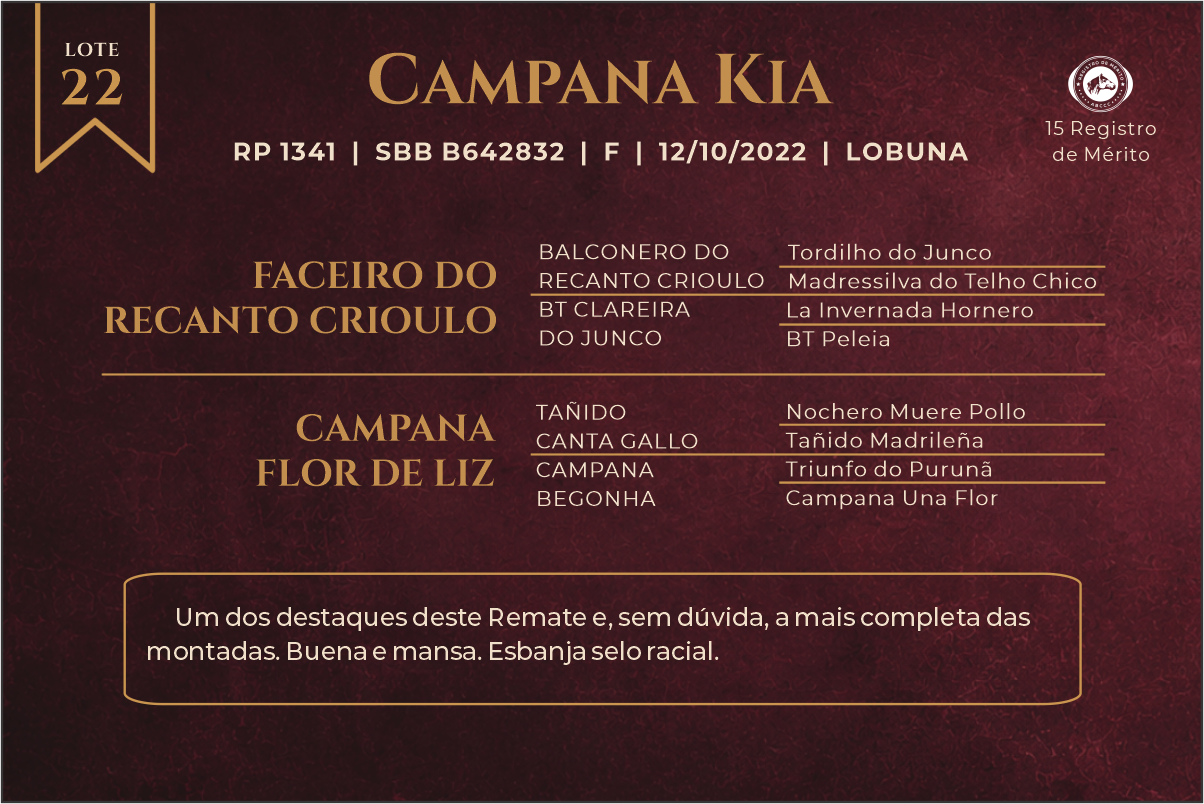 Geração CAMPANA KIA