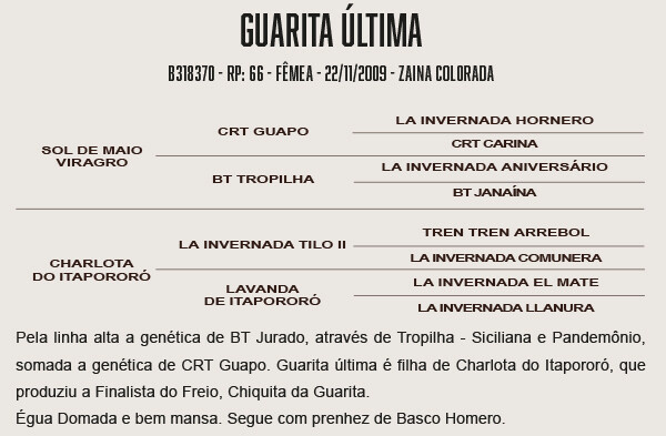 Geração GUARITA ÚLTIMA