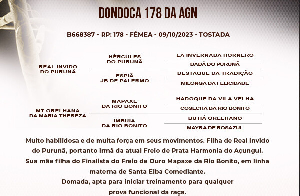 Geração DONDOCA 178 DA AGN