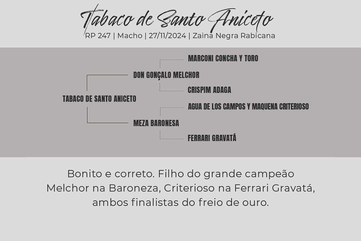 Geração TABACO DE SANTO ANICETO
