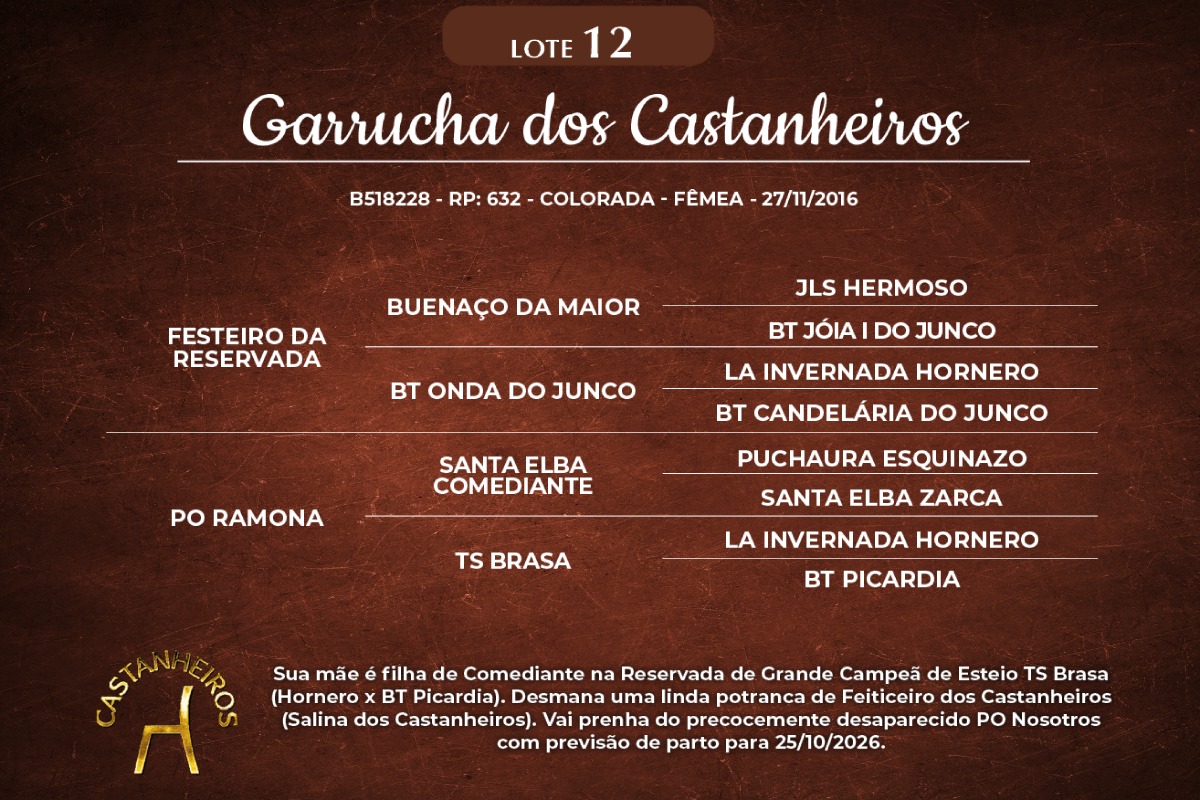 Geração GARRUCHA DOS CASTANHEIROS