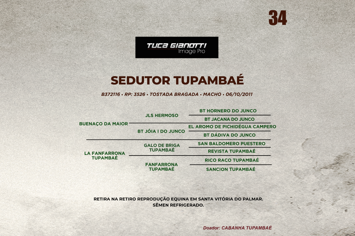 Geração SEDUTOR TUPAMBAE 