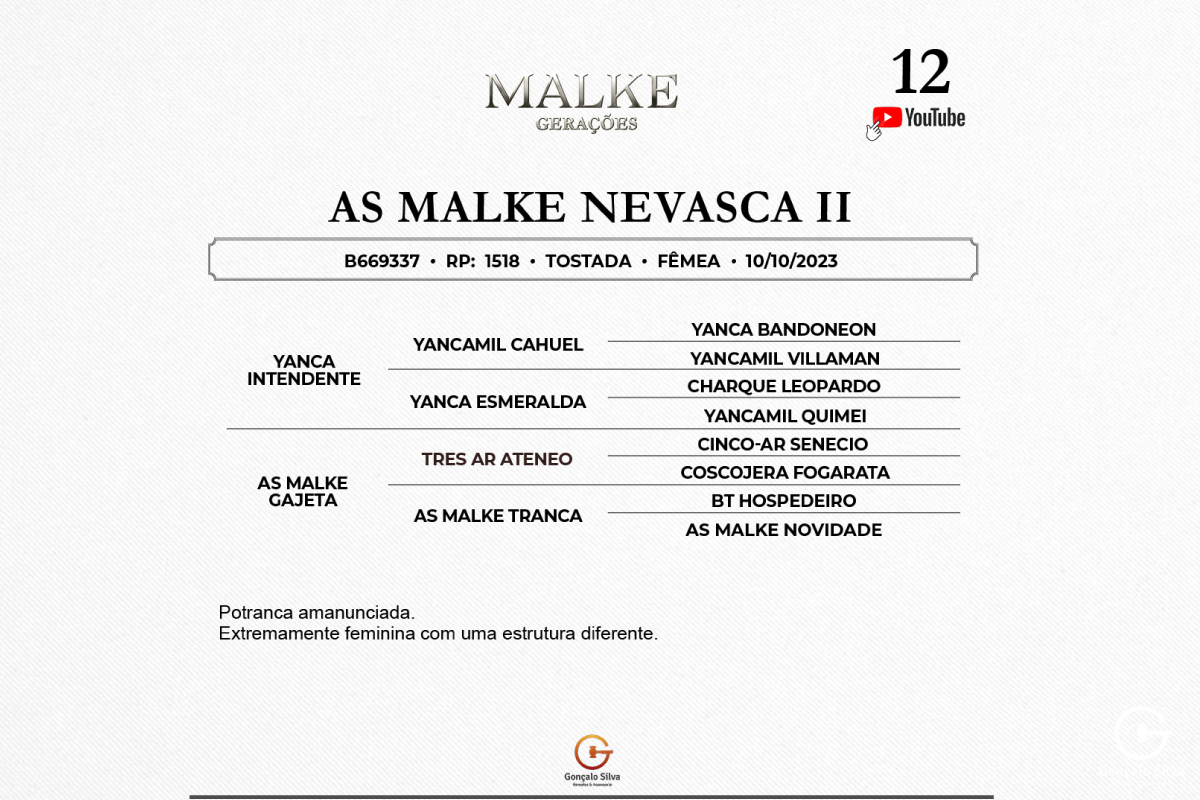 Geração AS MALKE NEVASCA II