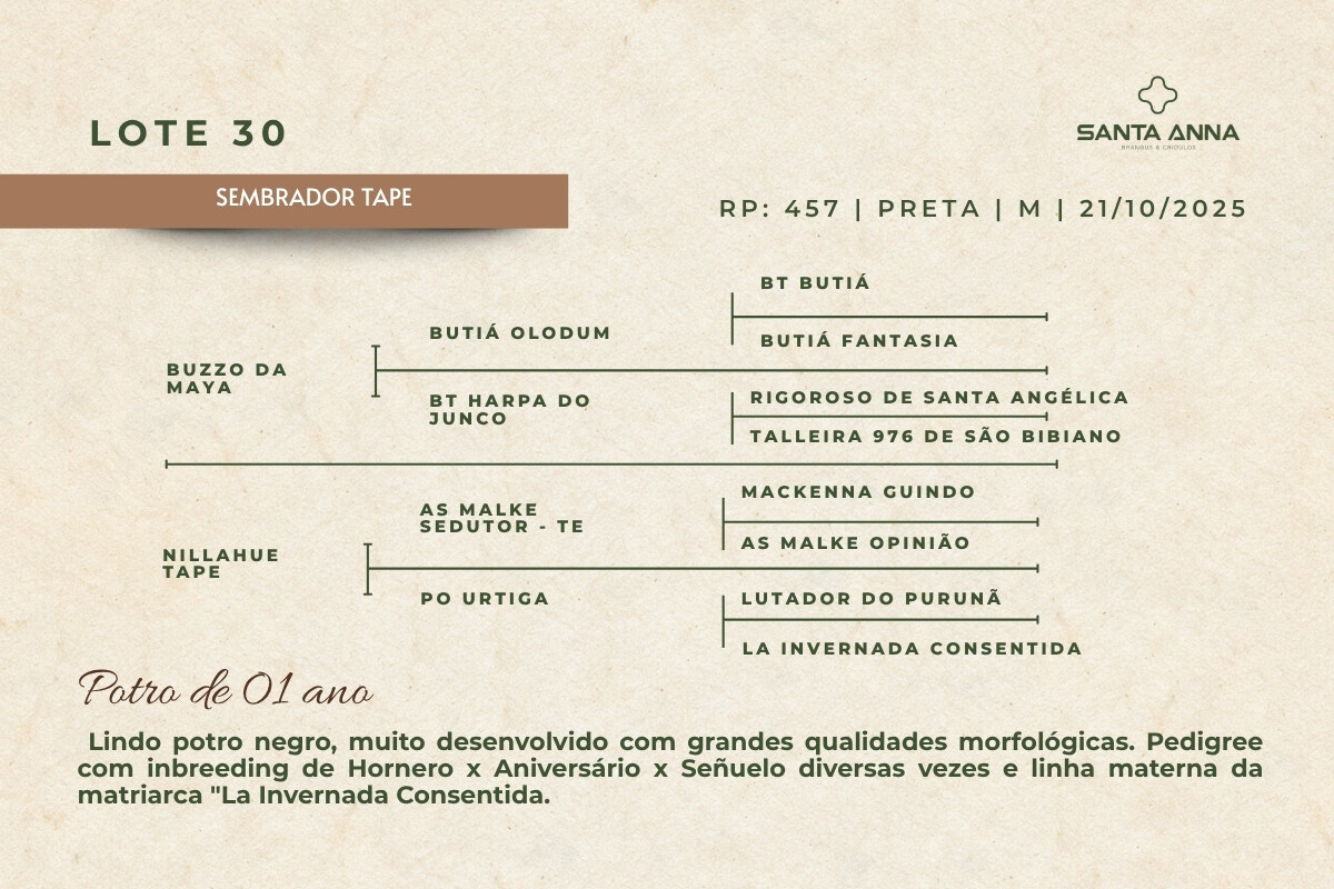 Geração SEMBRADOR TAPE