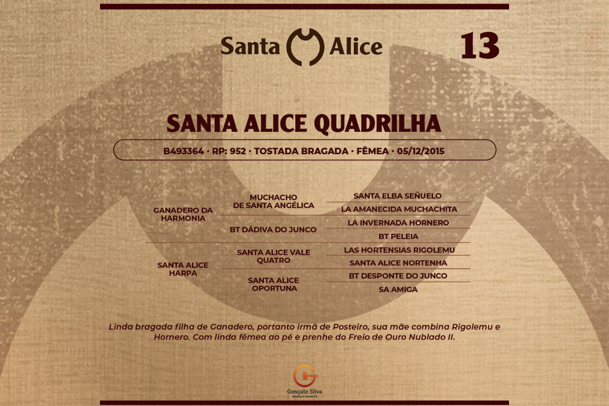 Geração SANTA ALICE QUADRILHA
