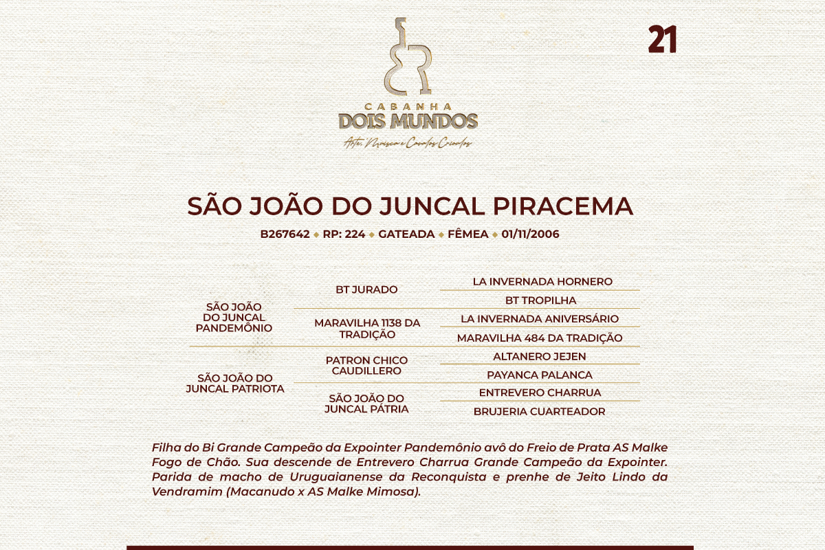 Geração SÃO JOÃO DO JUNCAL PIRACEMA