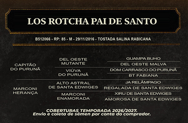 Geração LOS ROTCHA PAI DE SANTO 