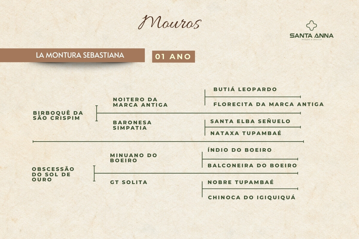 Geração LA MONTURA SEBASTIANA