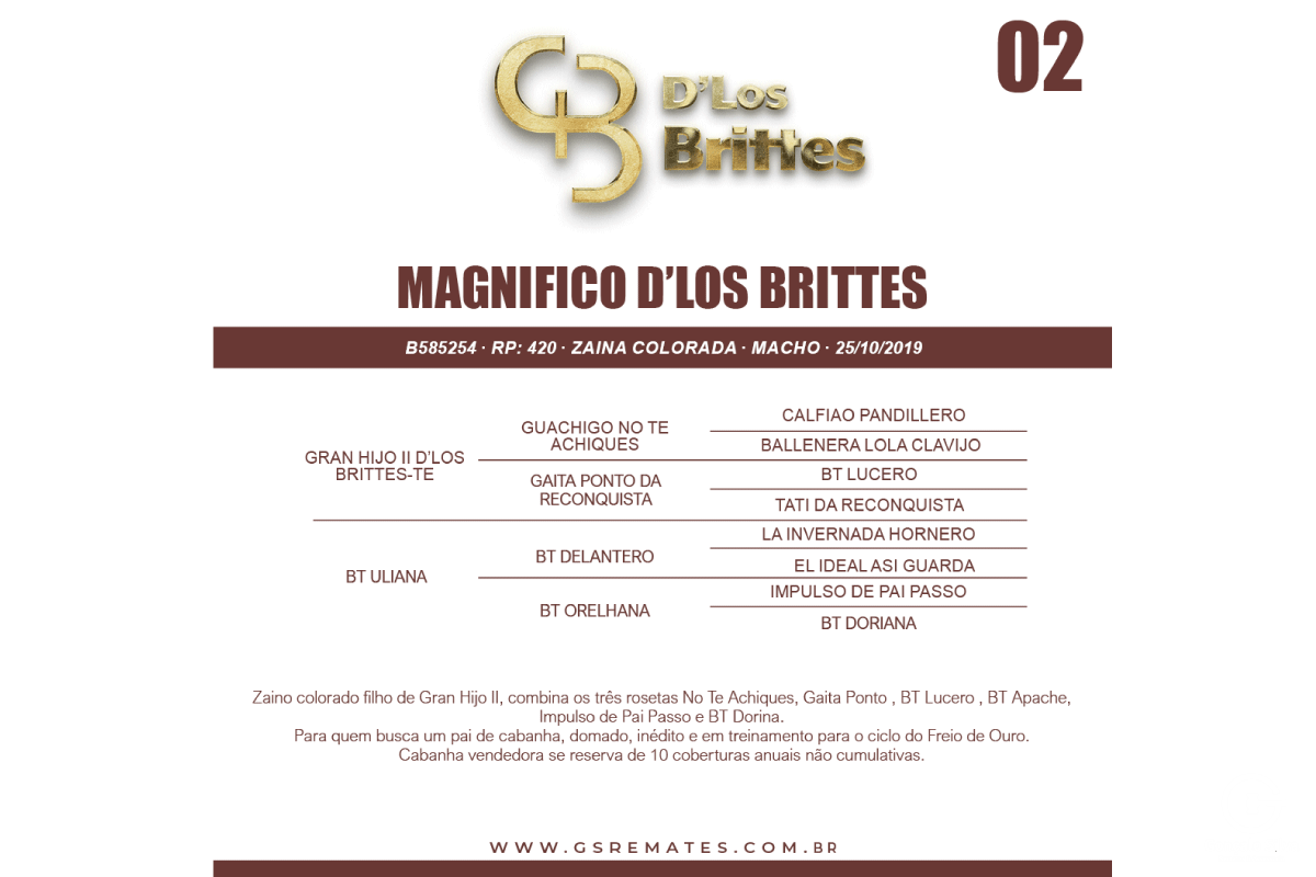 Geração MAGNIFICO D'LOS BRITTES