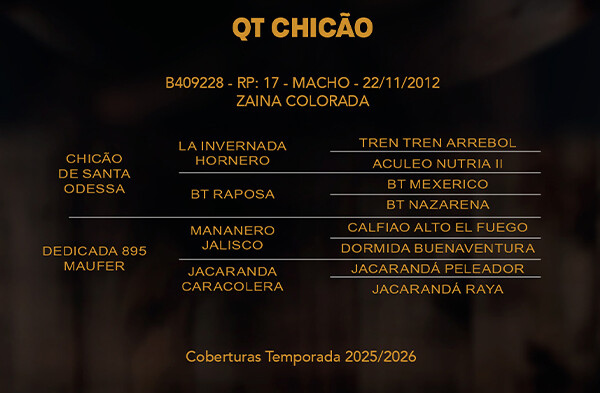 Geração QT CHIÇÃO