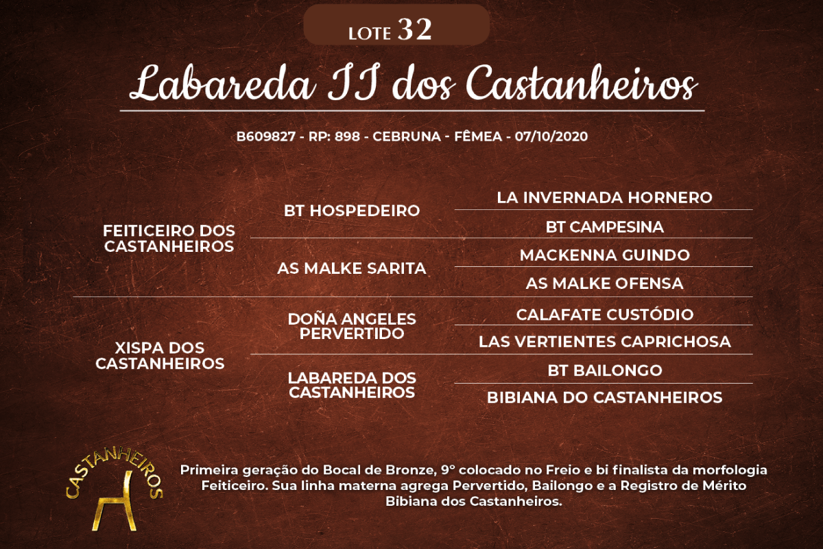 Geração LABAREDA II DOS CASTANHEIROS