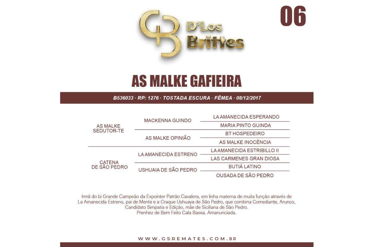 Geração AS MALKE GAFIEIRA