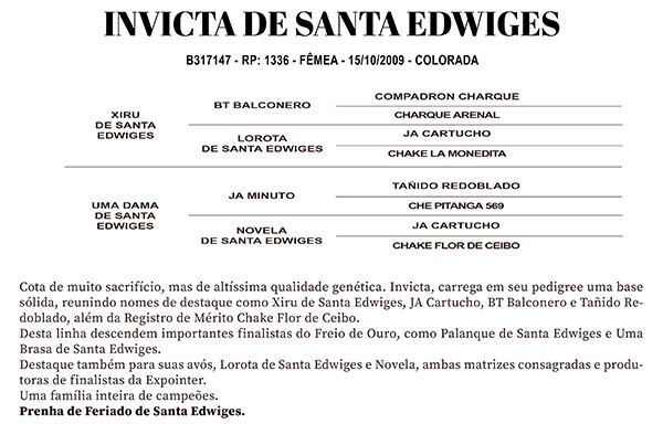 Geração INVICTA DE SANTA EDWIGES 