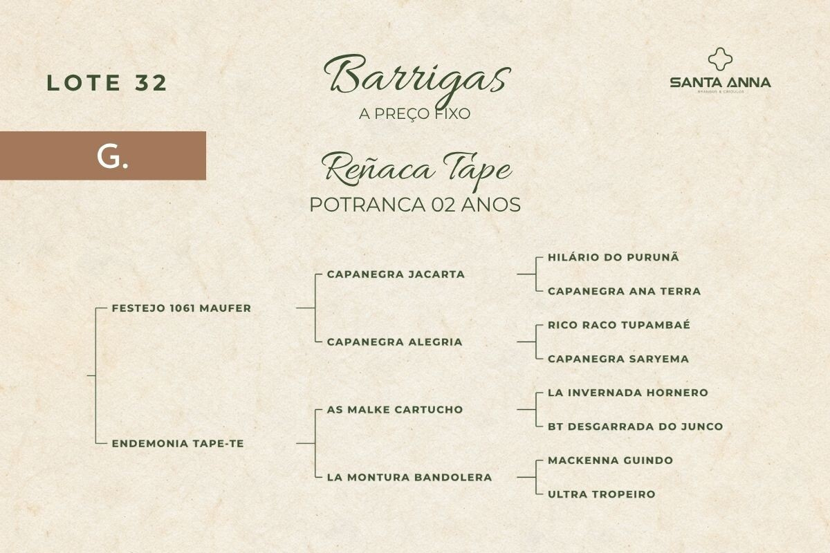Geração REÑACA TAPE