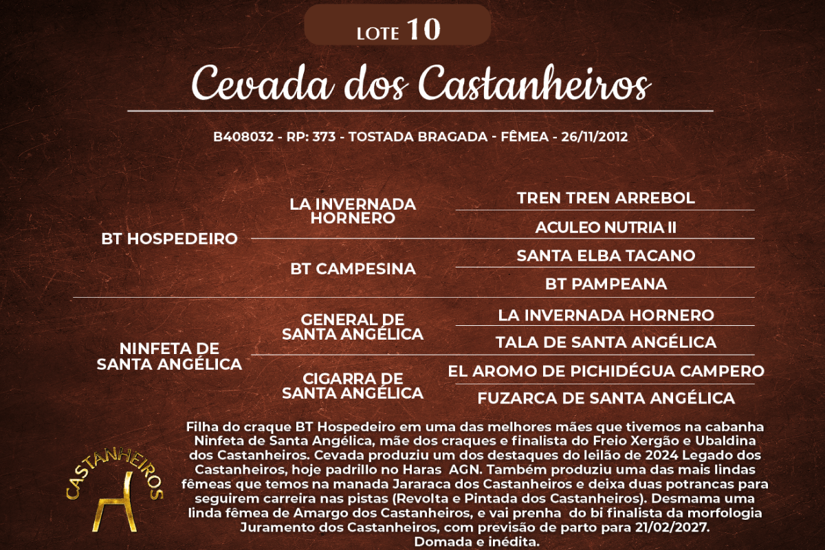 Geração CEVADA DOS CASTANHEIROS