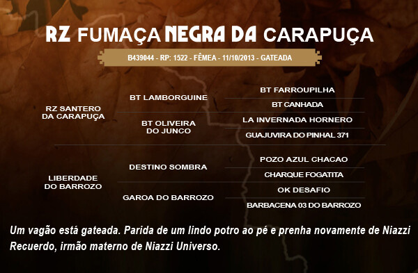 Geração RZ FUMAÇA NEGRA DA CARAPUÇA