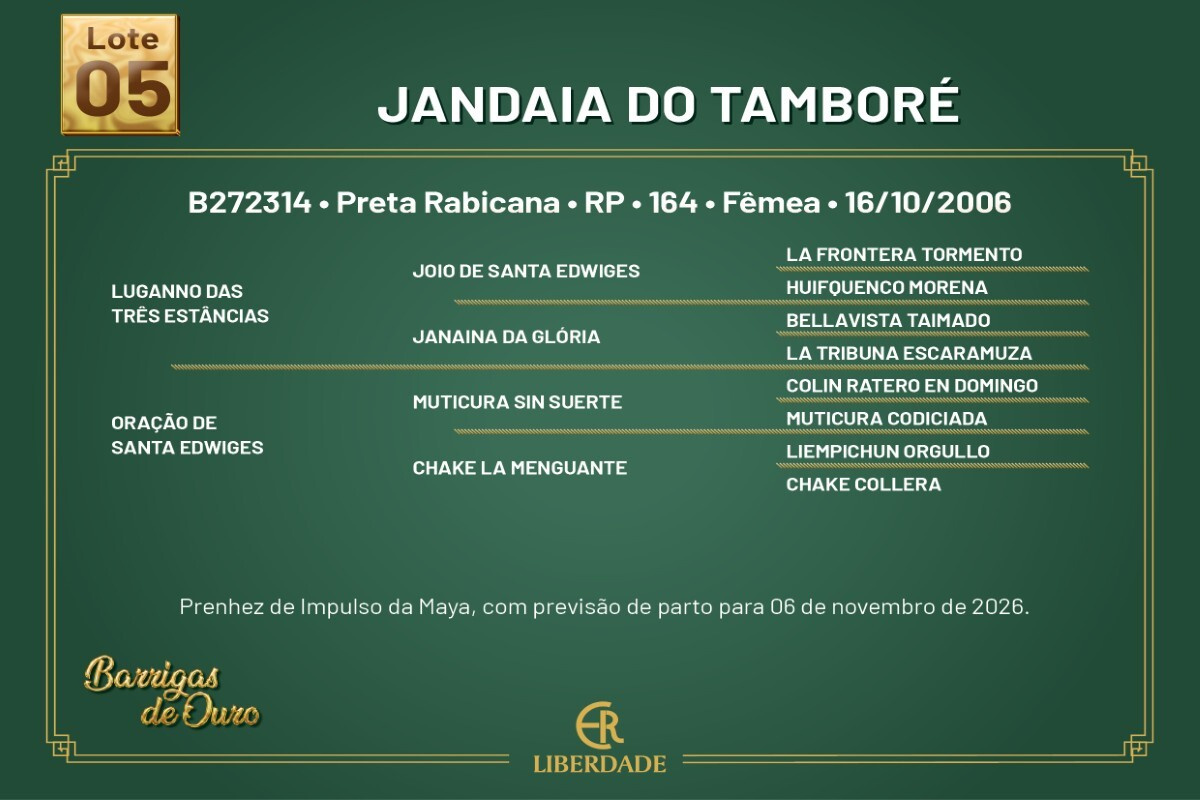Geração JANDAIA DO TAMBORÉ