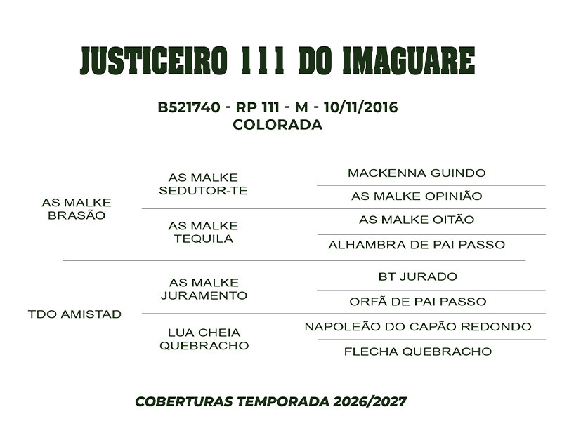 Geração COBERTURA JUSTICEIRO 111 DO IMAGUARE