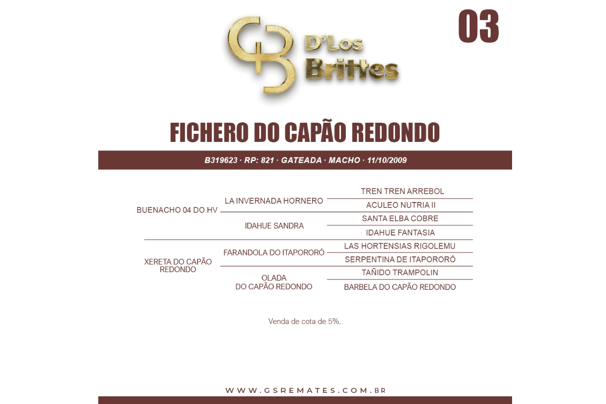 Geração FICHEIRO DO CAPÃO REDONDO