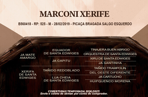 Geração Marconi Xerife