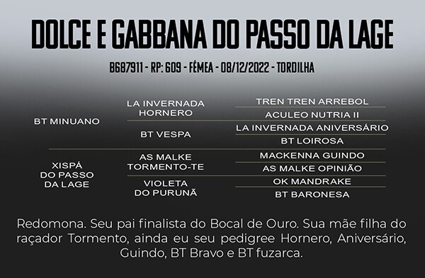 Geração DOLCE E GABBANA DO PASSO DA LAGE