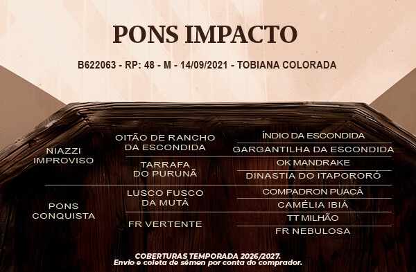 Geração Pons Impacto