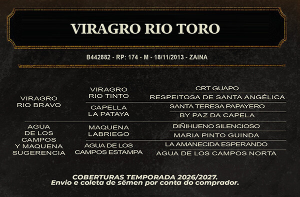 Geração VIRAGRO RIO TORO