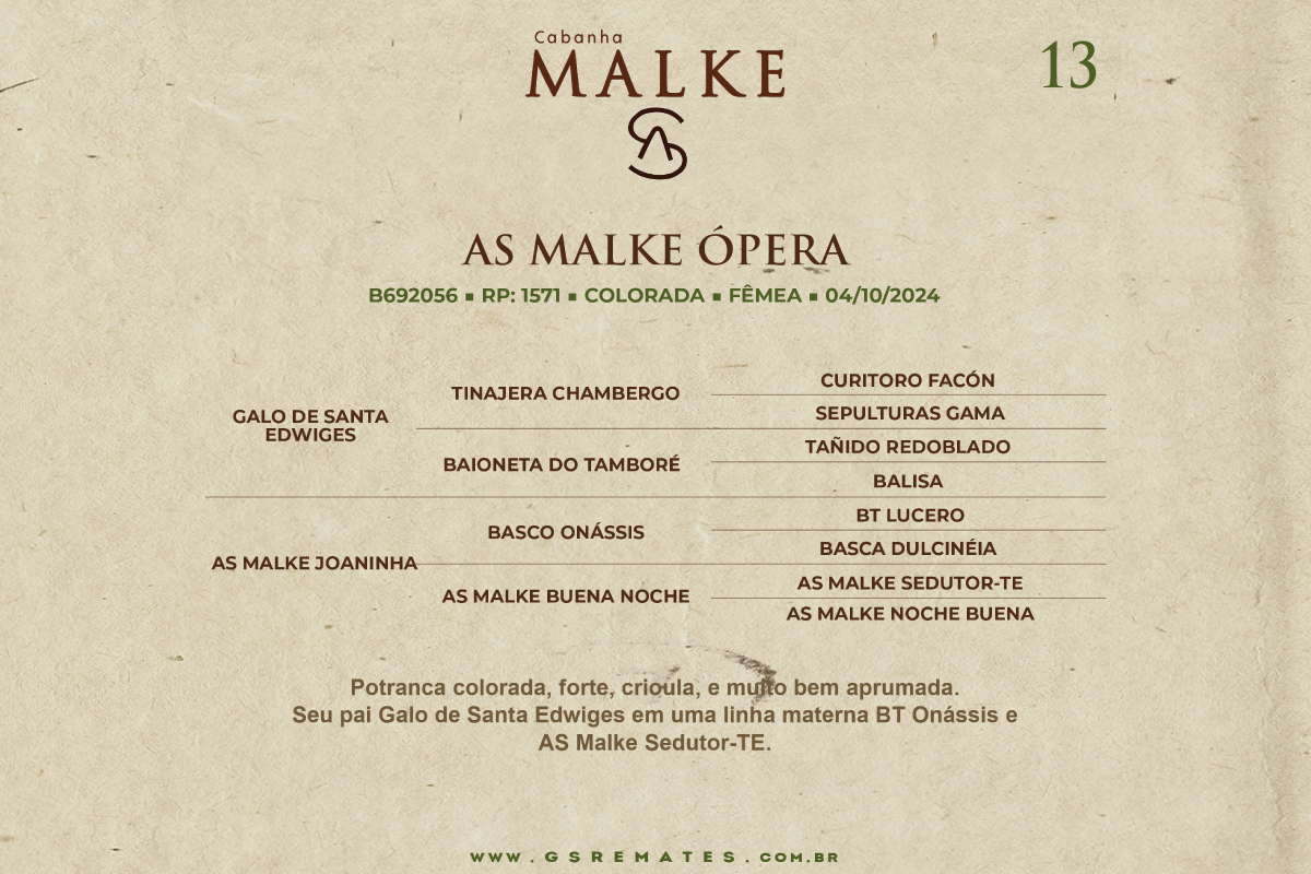 Geração AS MALKE ÓPERA