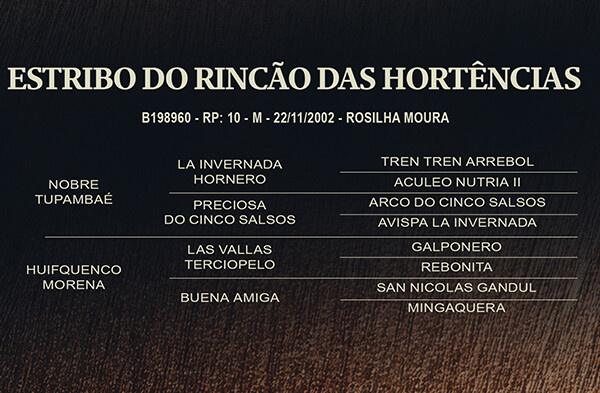 Geração ESTRIBO DO RINCÃO DAS HORTÊNCIAS