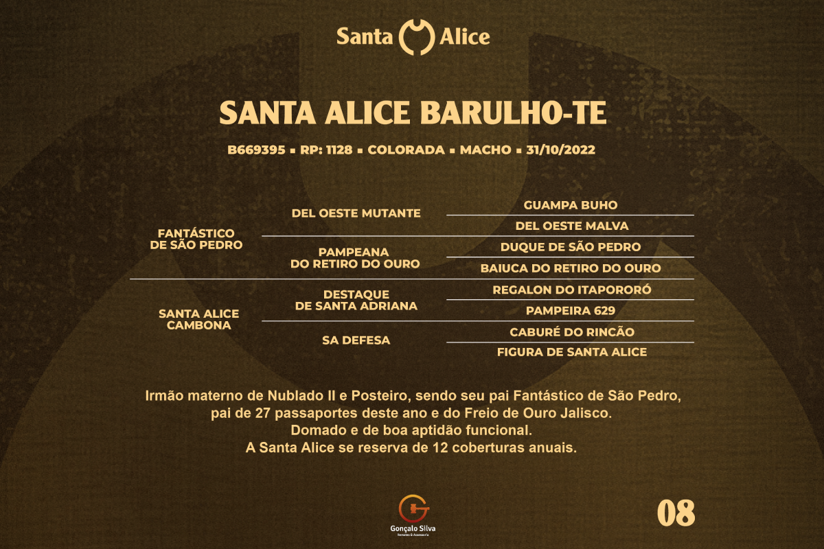 Geração SANTA ALICE BARULHO - TE