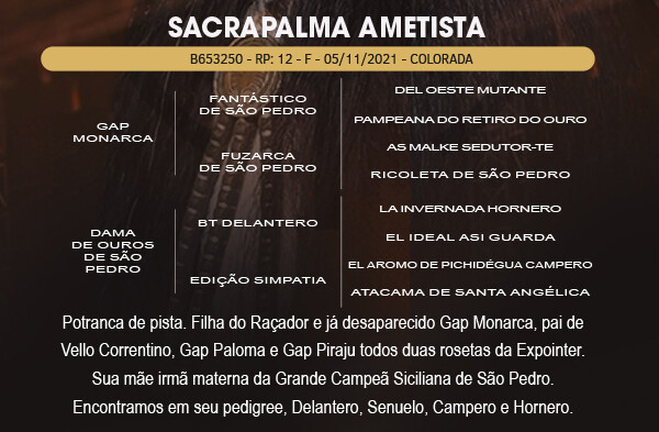 Geração SACRAPALMA AMETISTA 