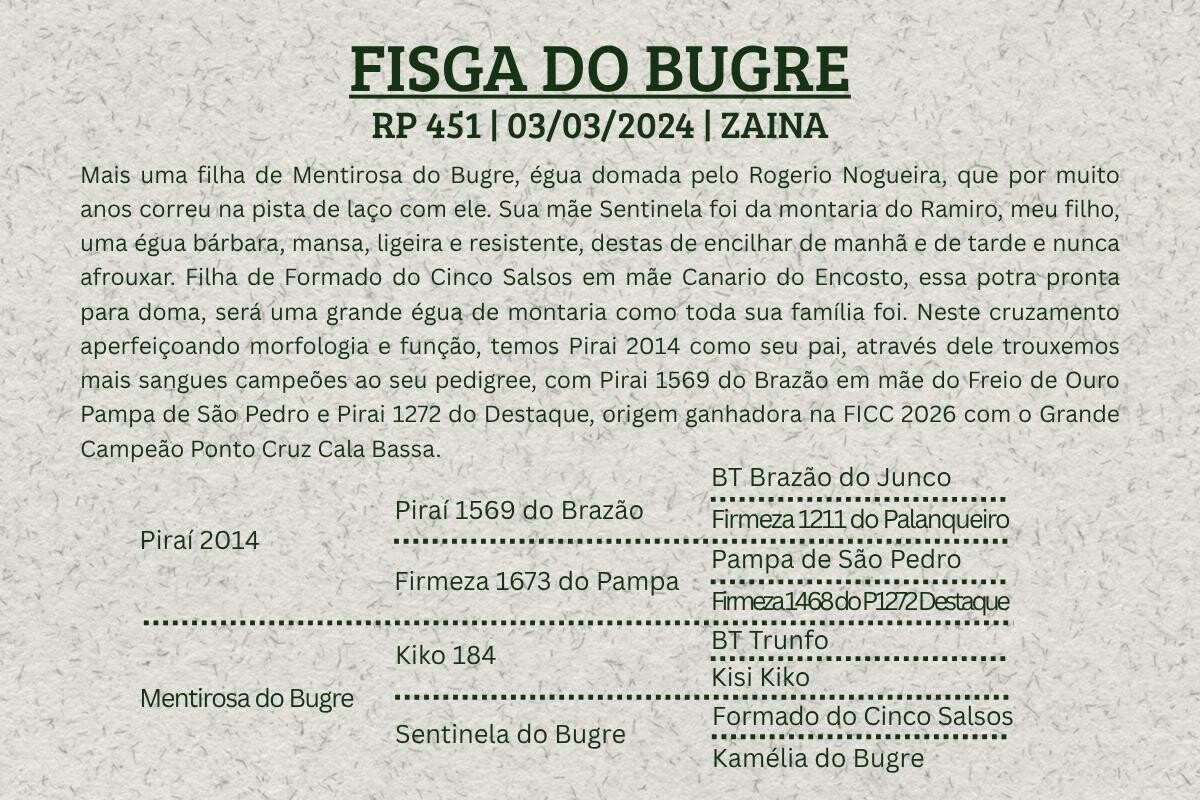 Geração FISGA DO BUGRE