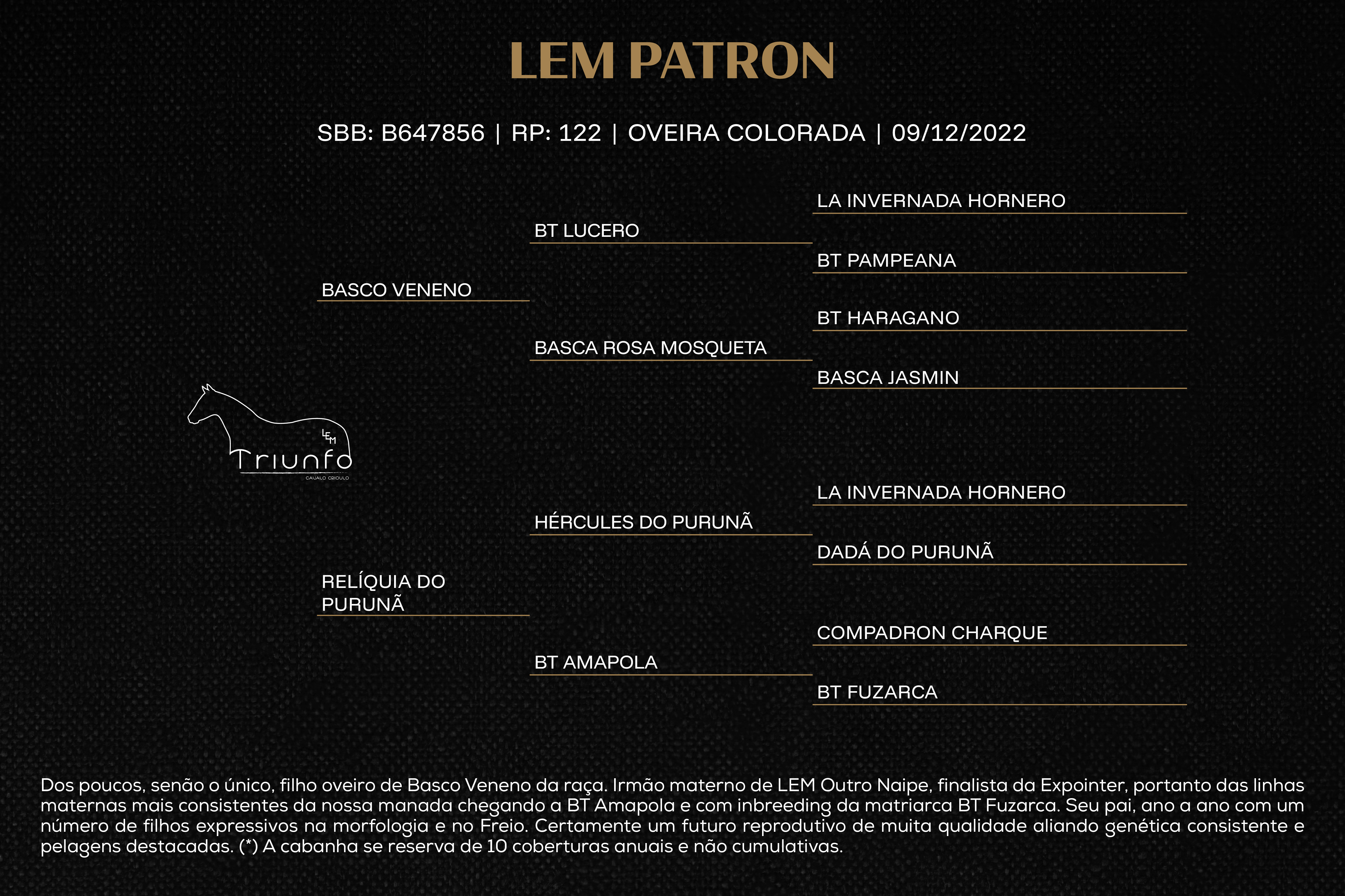 Geração LEM PATRON