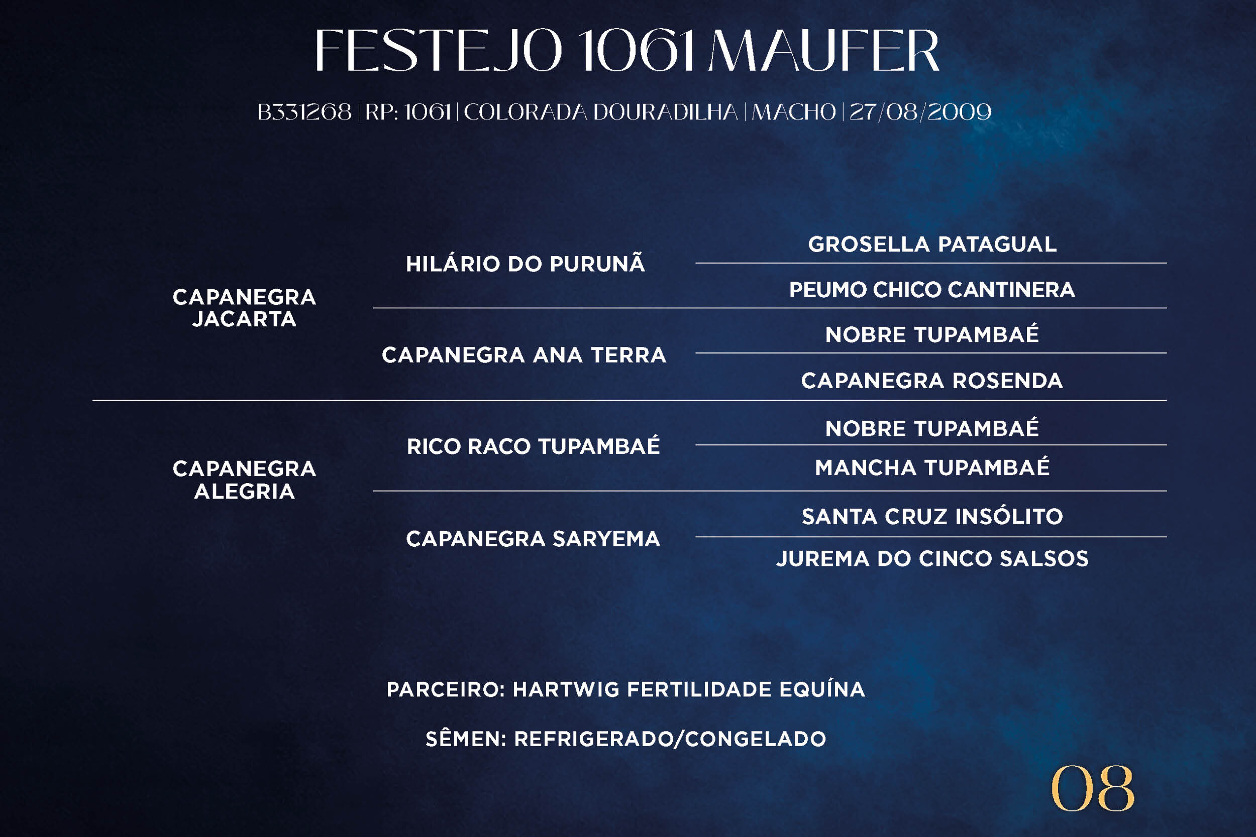 Geração FESTEJO 1061 MAUFER
