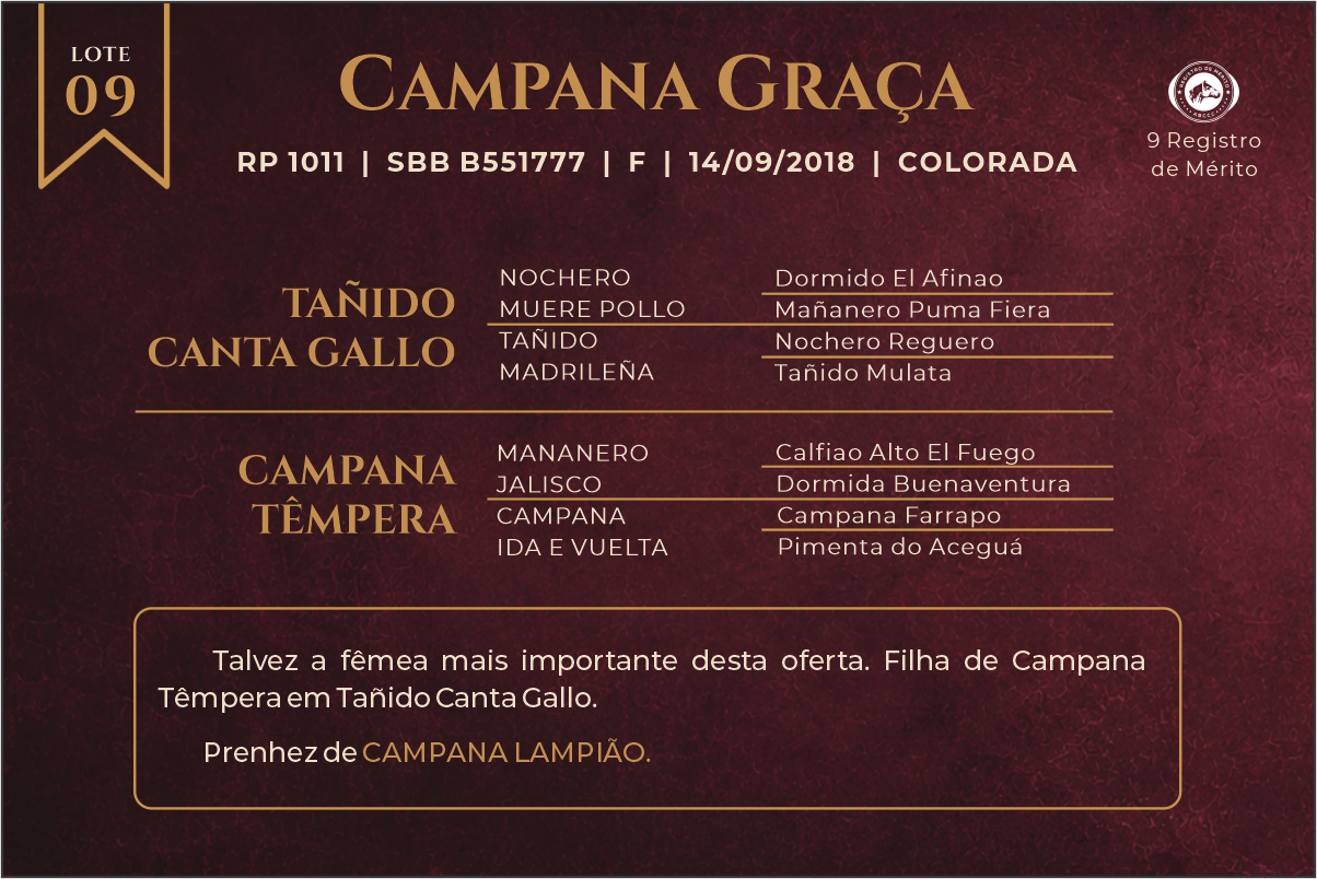 Geração CAMPANA GRAÇA