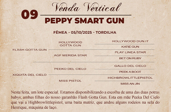 Geração VERTICAL PEPPY SMART GUN OU QUEEN KETIE GUN 