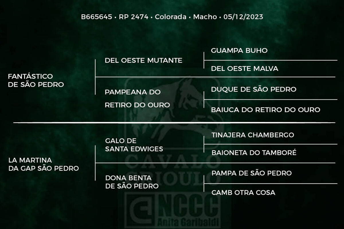 Geração GAP REAL INVIDO
